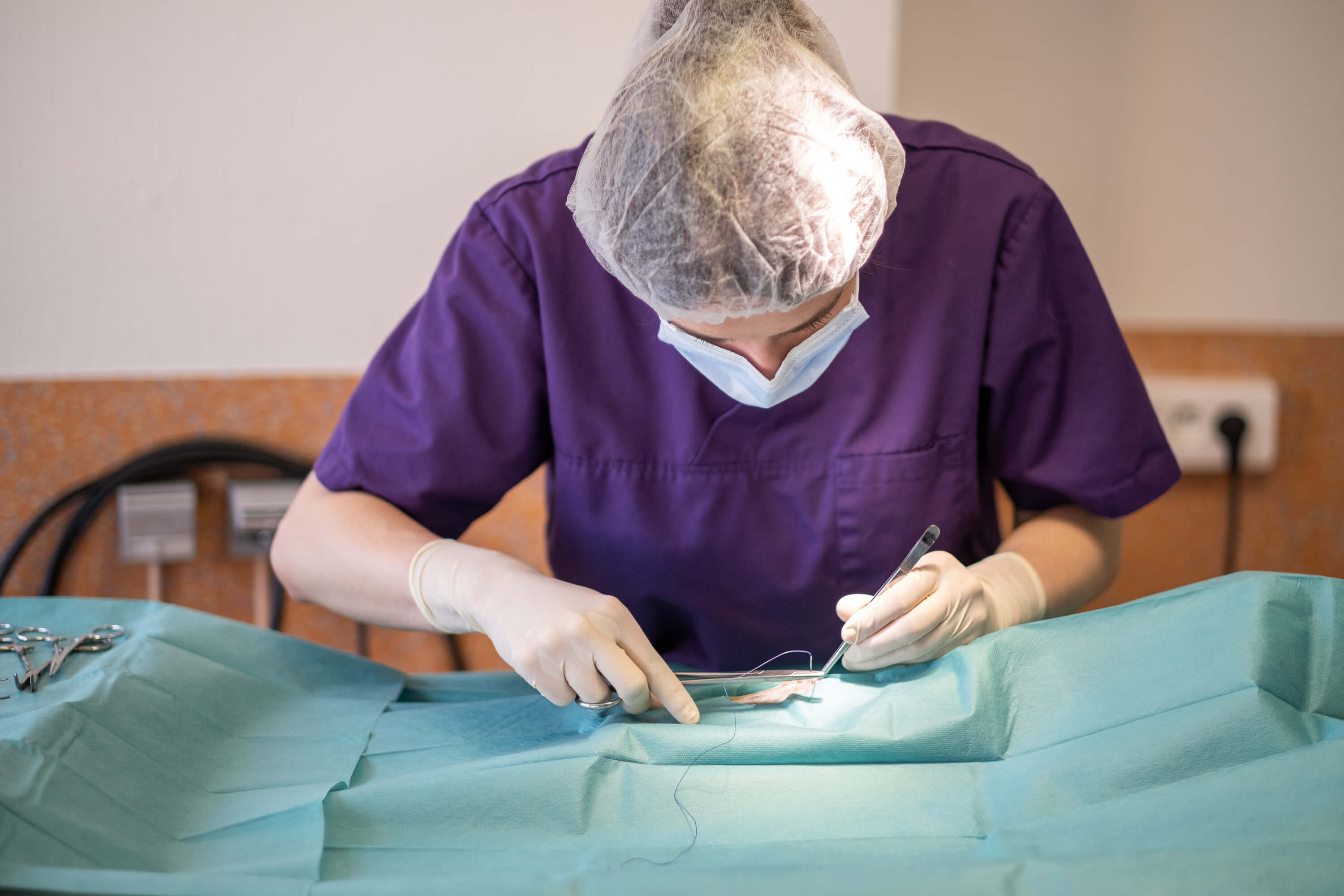 CV_Clinique-Veterinaire-du-musee_Mise-en-situation-22_0-(1).jpg CV_Clinique-Veterinaire-du-musee_Mise-en-situation-22_0-(1).jpg