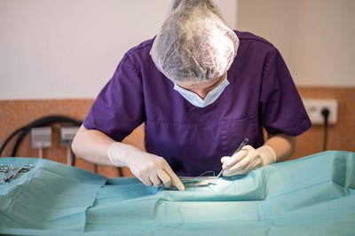 CV_Clinique-Veterinaire-du-musee_Mise-en-situation-22_0-(1).jpg